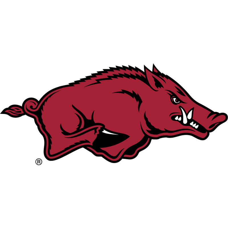 Arkansas Razorbacks iron ons